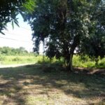 listing image thumbnail with ID 81694