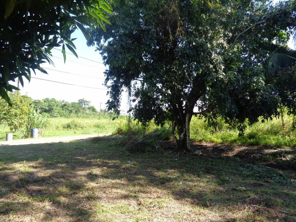 listing image with ID 81694
