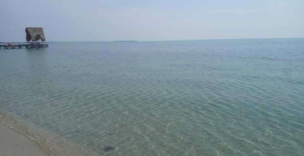 listing image with ID 92983