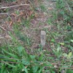 listing image thumbnail with ID 104424