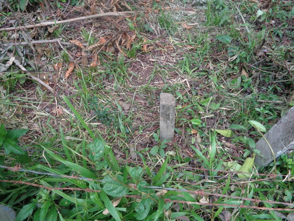 listing image with ID 104424