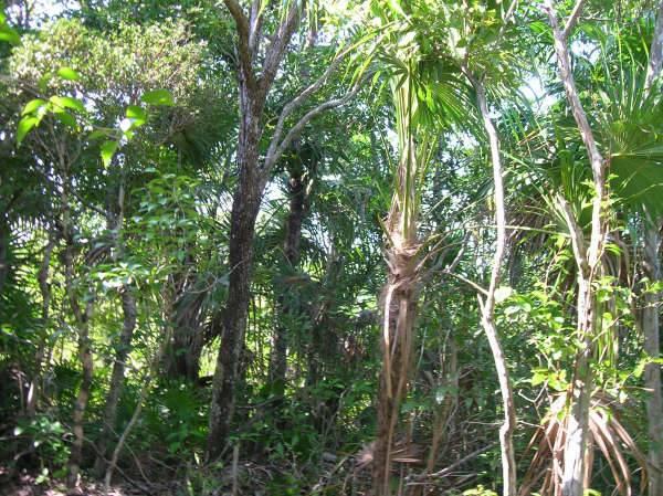 listing image with ID 107230