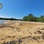 listing image thumbnail with ID 82858
