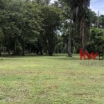 listing image thumbnail with ID 87472