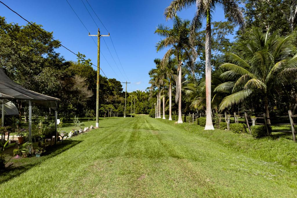 listing image with ID 84482