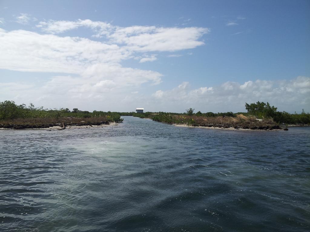 listing image with ID 74506