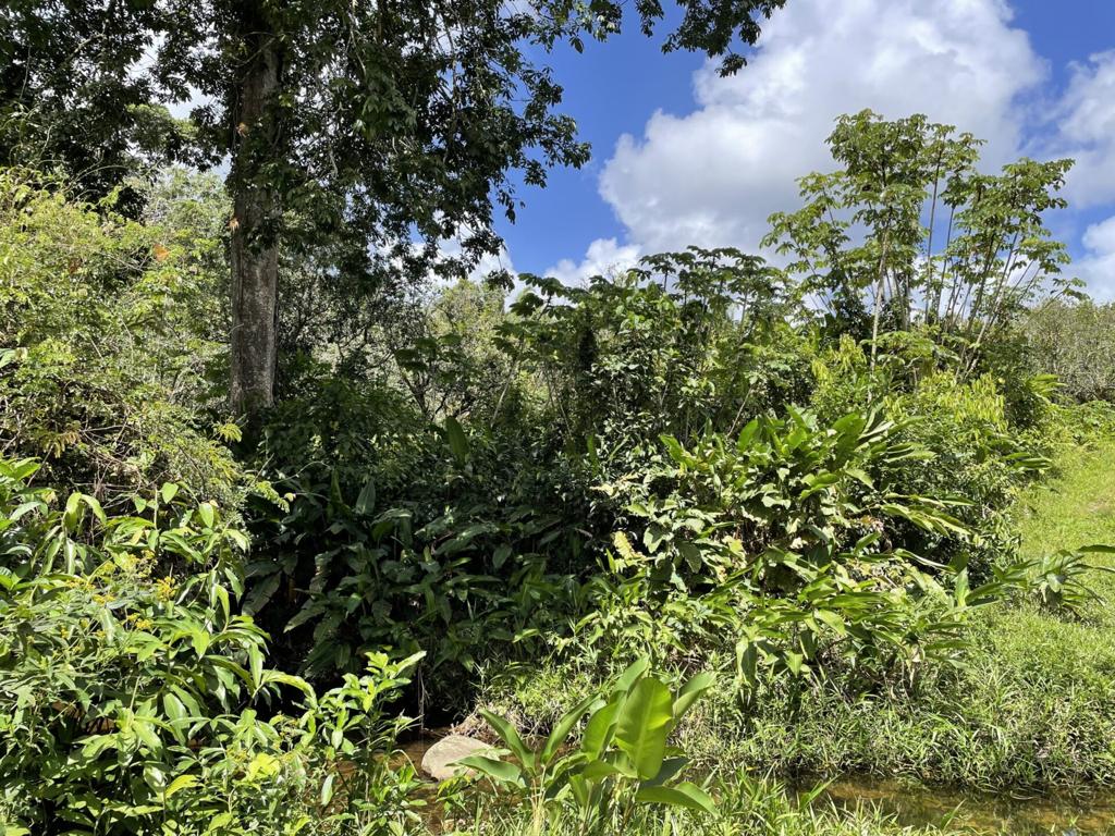 listing image with ID 105229