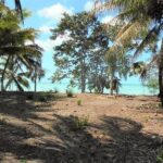 listing image thumbnail with ID 77952
