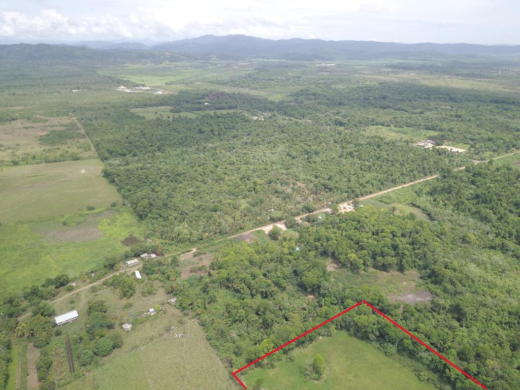 listing image with ID 77848