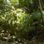 listing image thumbnail with ID 86749