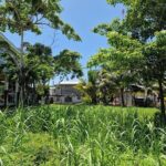 listing image thumbnail with ID 103548