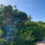 listing image thumbnail with ID 102425