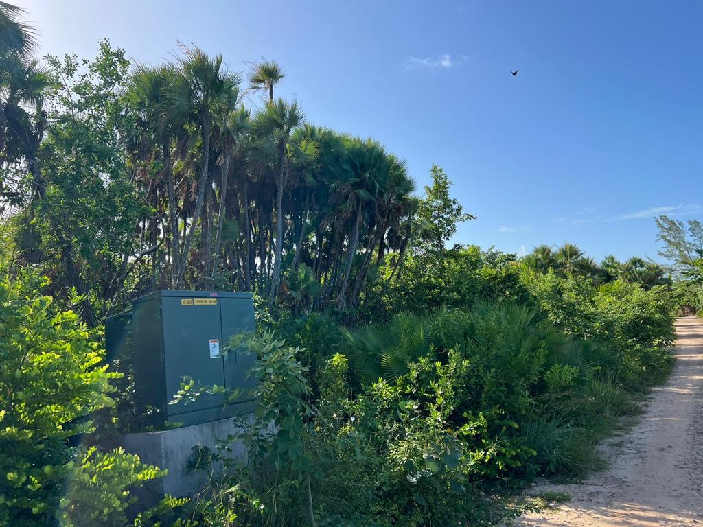 listing image with ID 102425