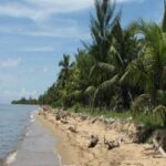 listing image thumbnail with ID 77556