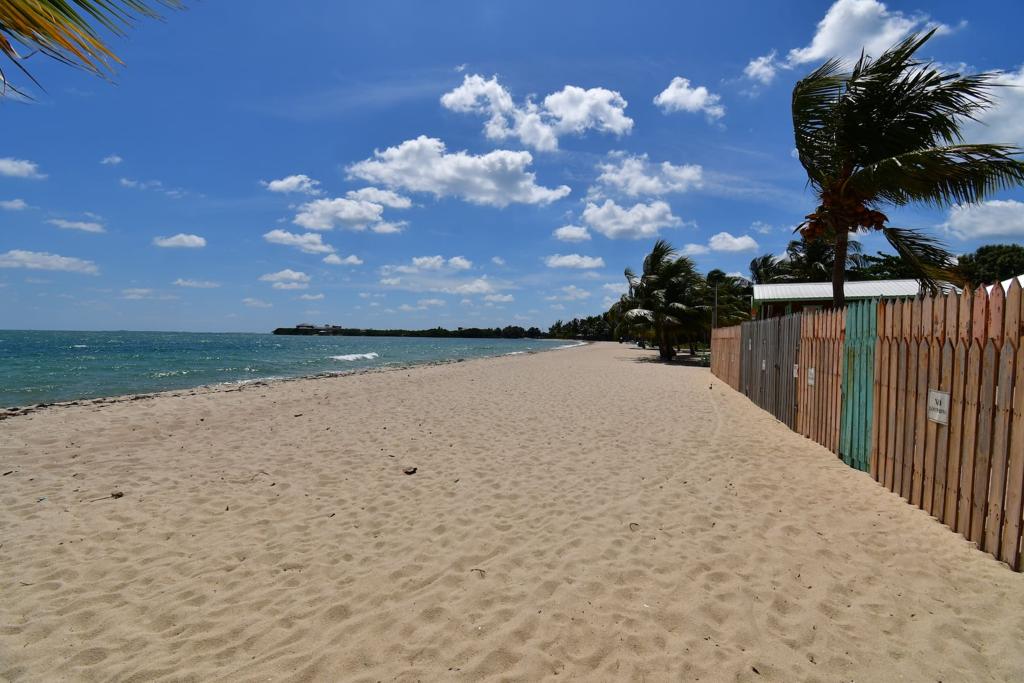 listing image with ID 82908