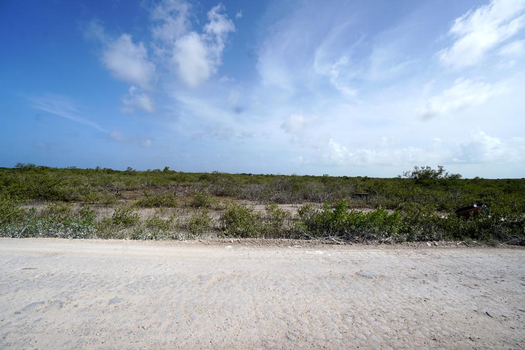 listing image with ID 108563