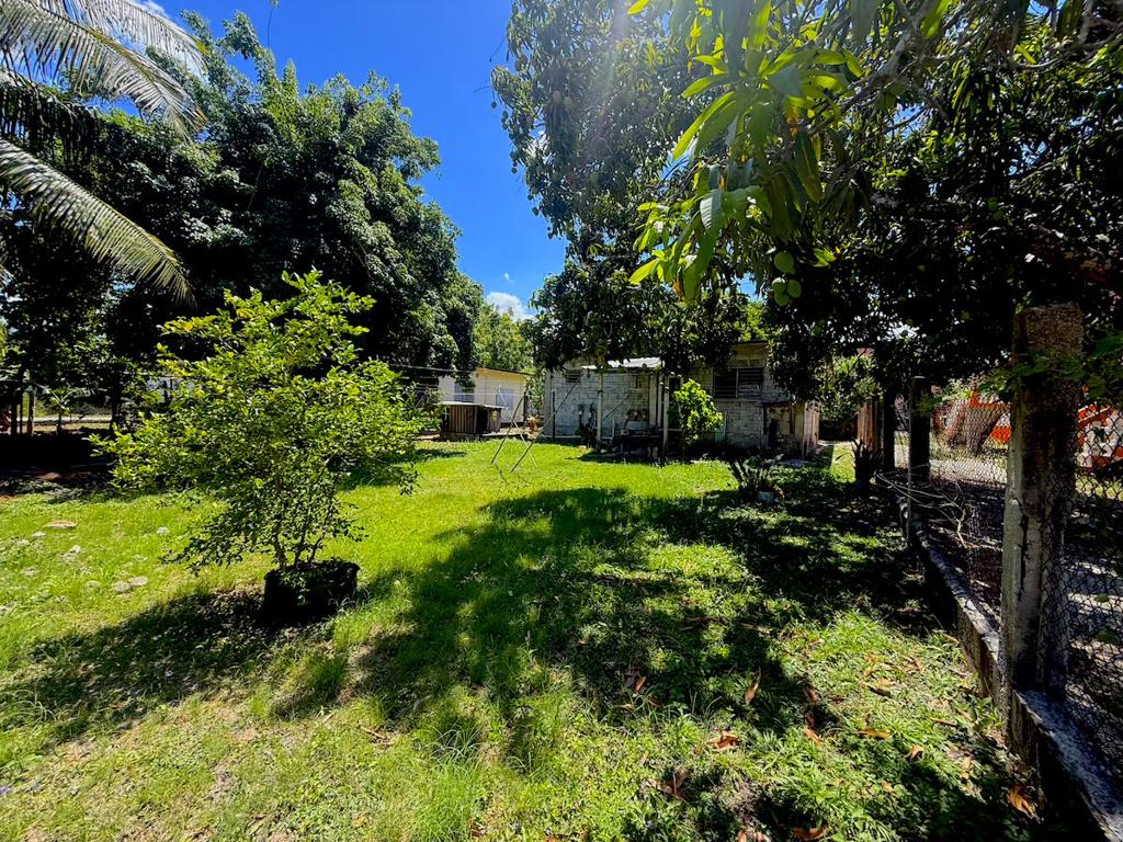 listing image with ID 109125