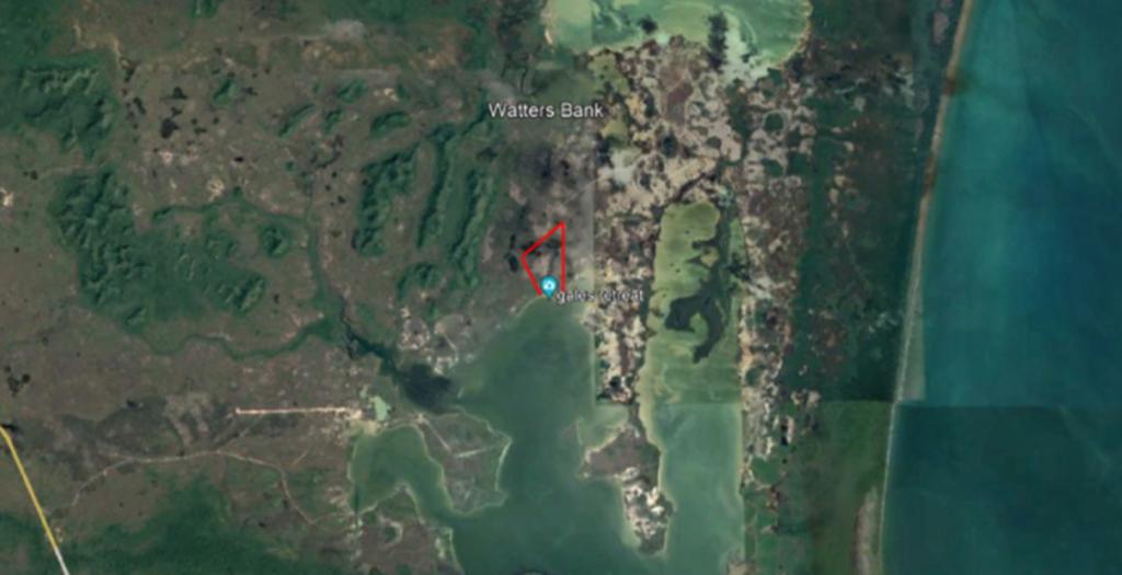 listing image with ID 93084