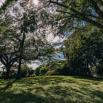 listing image thumbnail with ID 74541
