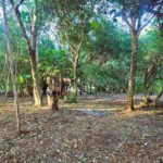 listing image thumbnail with ID 87763