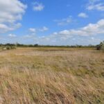 listing image thumbnail with ID 105561