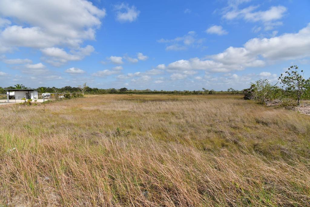 listing image with ID 105561
