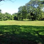 listing image thumbnail with ID 104429