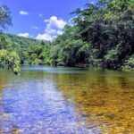 listing image thumbnail with ID 107721