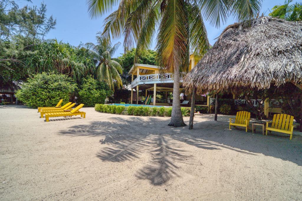 listing image with ID 102844