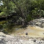 listing image thumbnail with ID 87217