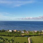 listing image thumbnail with ID 101319