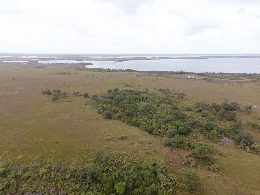 listing image with ID 99448