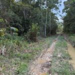 listing image thumbnail with ID 103612