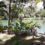 listing image thumbnail with ID 93993