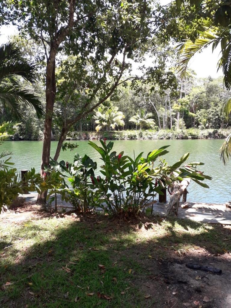 listing image with ID 93993