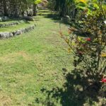 listing image thumbnail with ID 107591