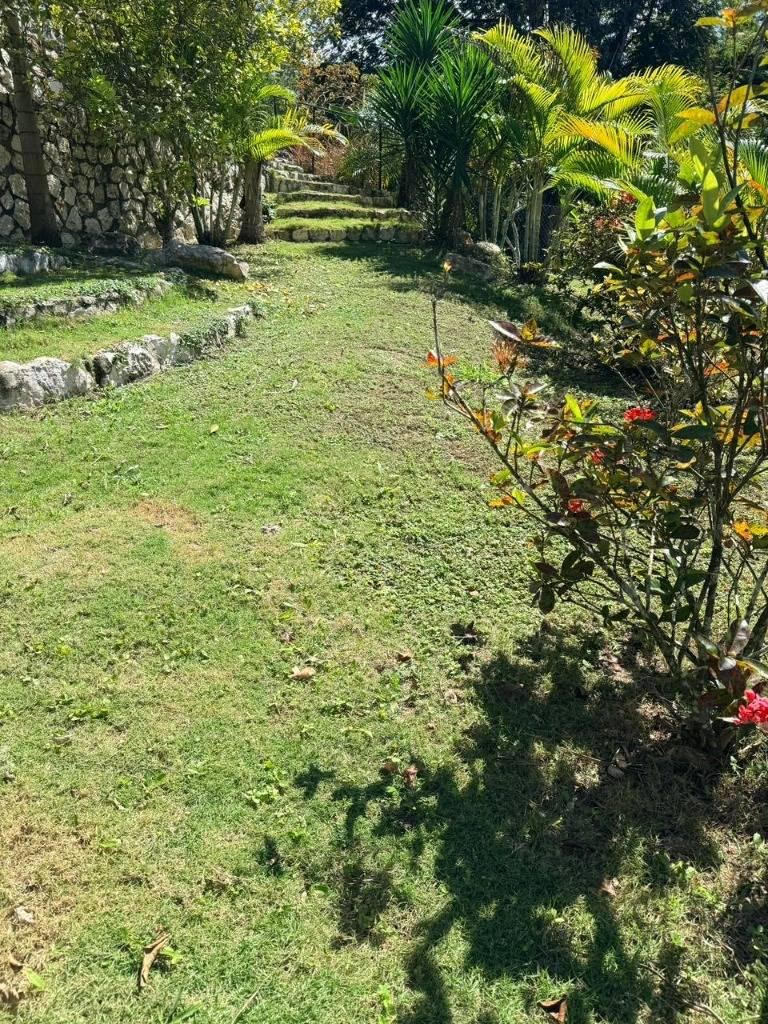 listing image with ID 107591