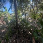 listing image thumbnail with ID 78451