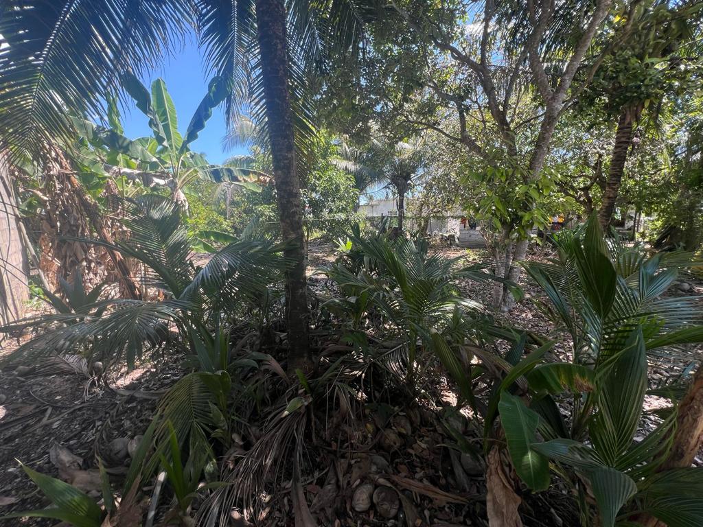 listing image with ID 78451