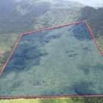 listing image thumbnail with ID 100254