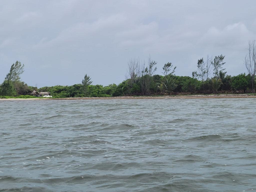 listing image with ID 84423