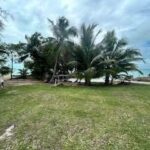 listing image thumbnail with ID 86401