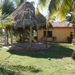 listing image thumbnail with ID 92870