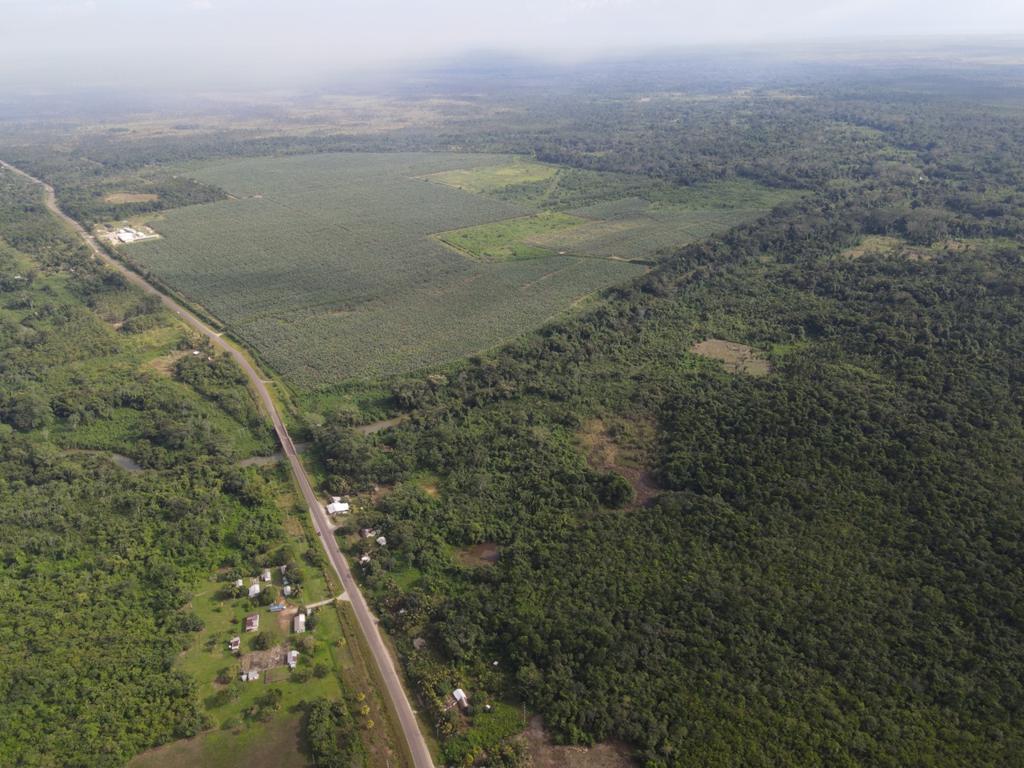 listing image with ID 79058