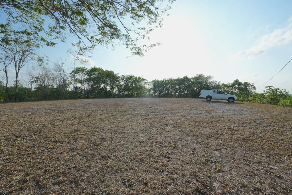 listing image with ID 90810