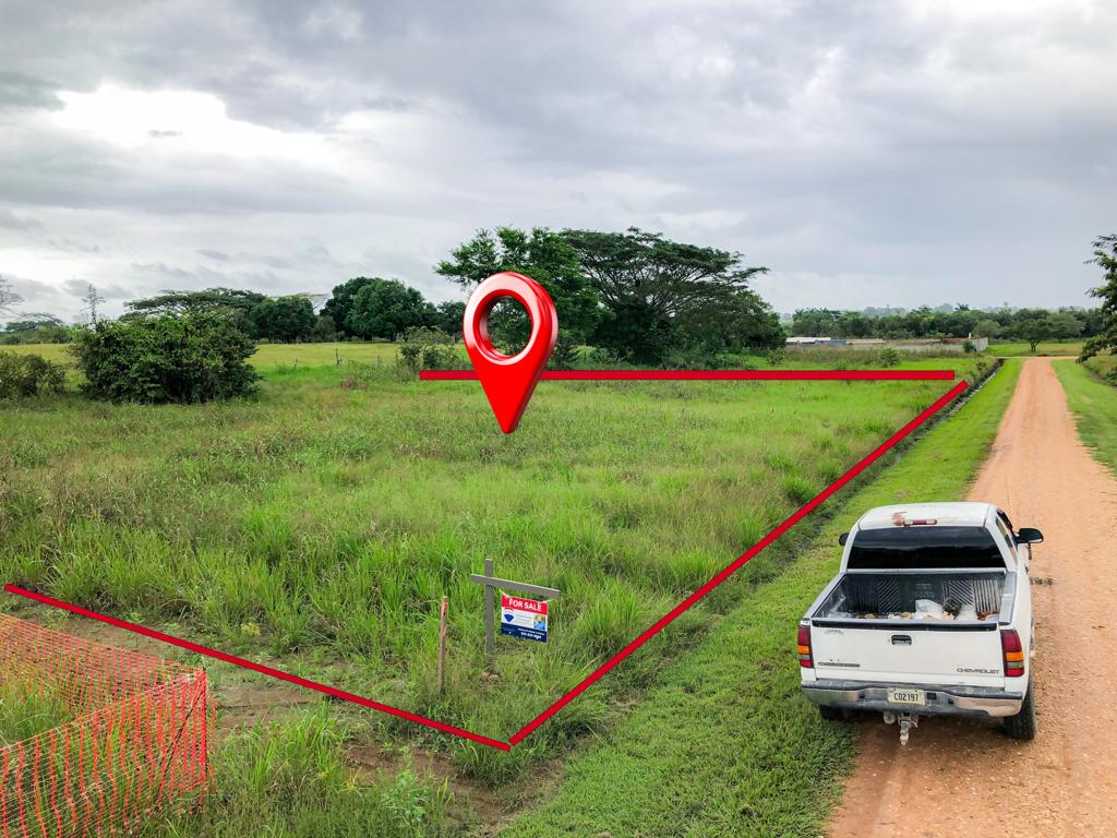 listing image with ID 95276