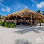 listing image thumbnail with ID 99663