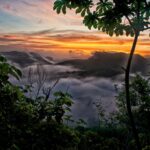 listing image thumbnail with ID 80826