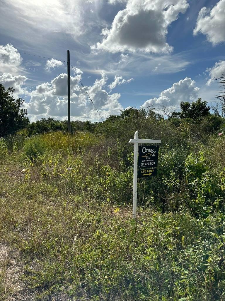 listing image with ID 77009