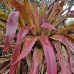 listing image thumbnail with ID 76066
